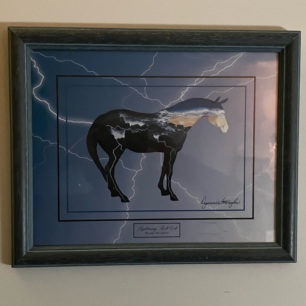 Lightning Bolt Colt Framed Picture from The Trail Of Painted Ponies